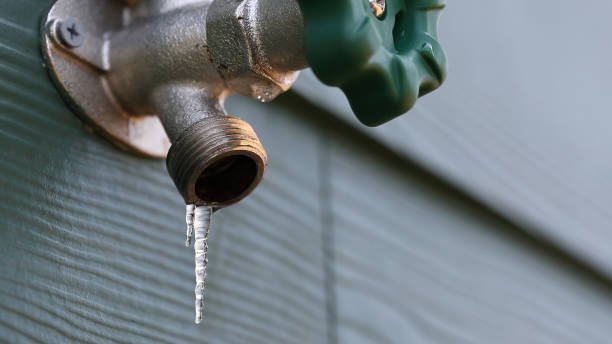 Best Affordable Plumbing Services  in Fort Lewis, WA